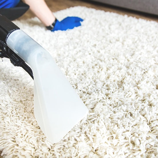 Online Study Suggests: Carpet & Rug Cleanliness Will Influence Visitor Confidence!