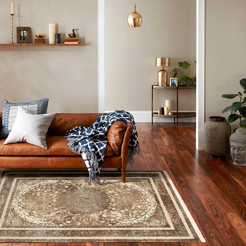 Tena Brown Trans Rug - Kristal Carpets